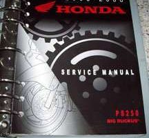 2005 Honda PS250 Big Ruckus Shop Service Repair Manual