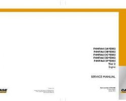 Case Engines model F4HFA613B*E002 Service Manual