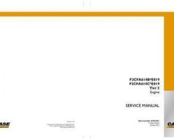 Case Engines model F2CFA614C*E019 Service Manual