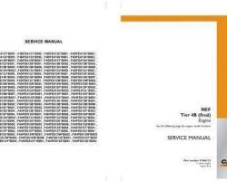 Case Engines model F4DFE4133*B001 Service Manual
