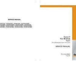 Case Engines model F2CFE614C*B003 Service Manual