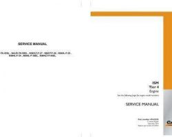 Case Engines model N843T-F-24 Service Manual