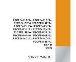 Case Engines model F2CFE614A*A Service Manual