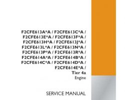 Case Engines model F2CFE613A*A Service Manual