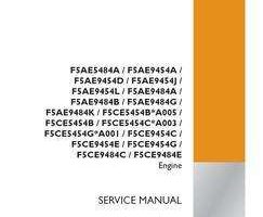 Case Engines model F5AE5484A Service Manual