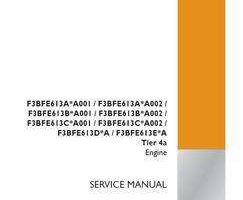 Case Engines model F3BFE613A*A002 Service Manual