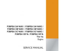 Case Engines model F3BF613D*A001 Service Manual