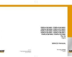 Case Engines model F5DFL413A*A001 Service Manual