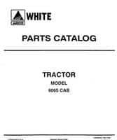 White 79017186 Parts Book - 6065 Tractor (cab)
