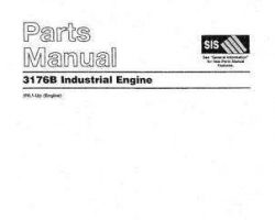 Massey Ferguson AG054174 Parts Book - 3176B Engine (industrial)