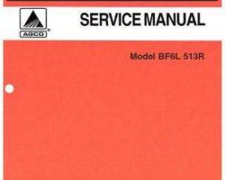AGCO Allis 79019276 Service Manual - BF6L 513R Engine