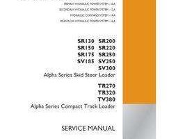 Case Skid steers / compact track loaders model SR220 Service Manual