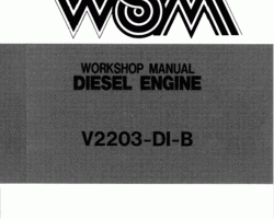 Case Engines model V2203dib Service Manual