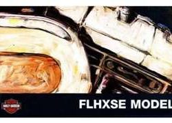 2010 Harley Davidson CVO Street Glide FLHXSE Model Owner's Manual
