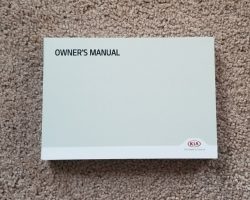2019 Kia Cadenza Owner's Manual